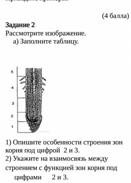 Рассмотрите изображение.а) Заполните таблицу.1) Опишите особенности строения зон корня под цифрой 2