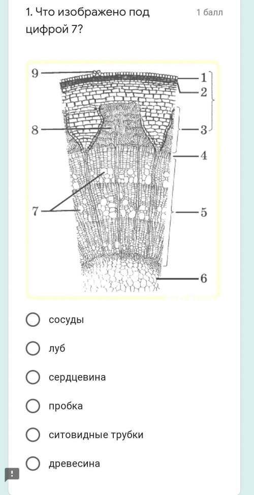 невелезло ситовые трубки древесина