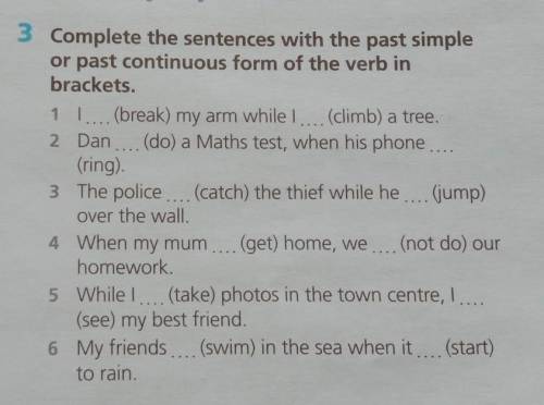 Complete the sentences with the past simple or past continuous from do the verb in brackets​