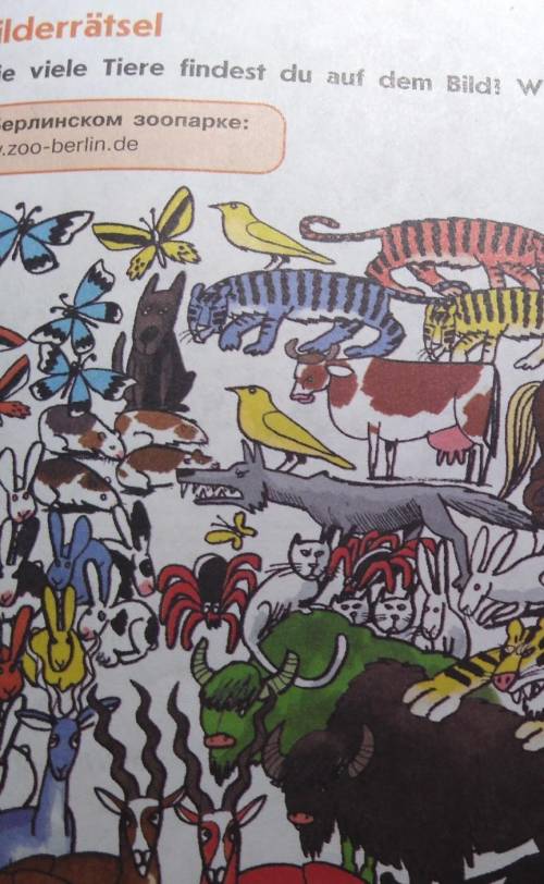 40 jumBilderrätselWie viele Tiere findest du auf dem Bild? Welche Farben haben die Tiere