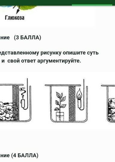 По представленному рисунку опишите суть опыта и свой отвер аргументируйте
