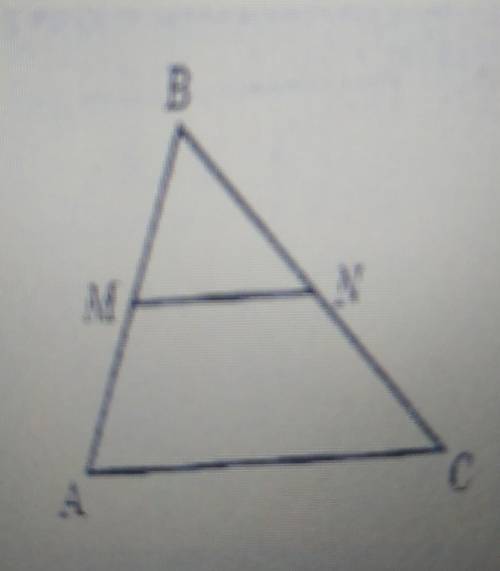 На рисунку MN паралельно AC. Знайти AМ якщо AB=30 см МN=5 см AC=25 