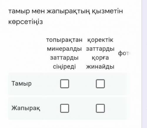 Тамыр мен жапырактар кызмети​