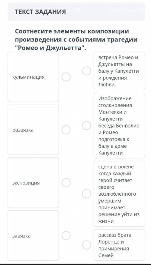 класс СОЧ по русскому литературу​