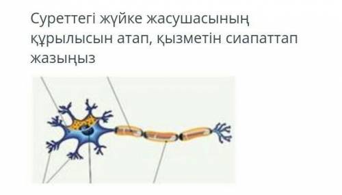 Көмектесіндерш биология соч 