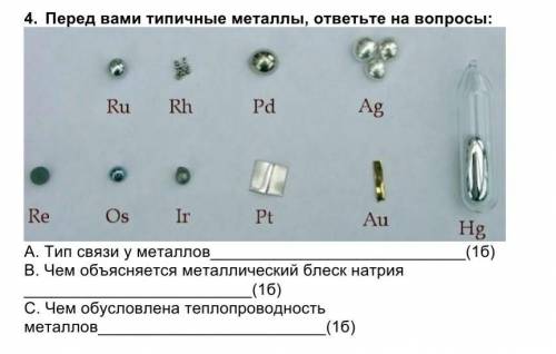 Перед вами типичные металлы,ответьте на вопросы 
