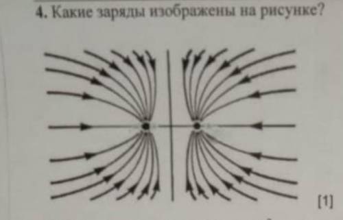 Какие заряды изображены на рисунке тут просто одно слово по быстрому 10б даю быстро