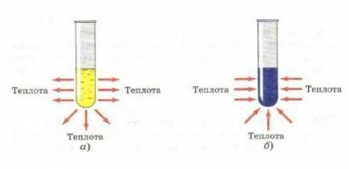 Дайте определение процессу под буквой А и Б. В чем сходство и различие процессов