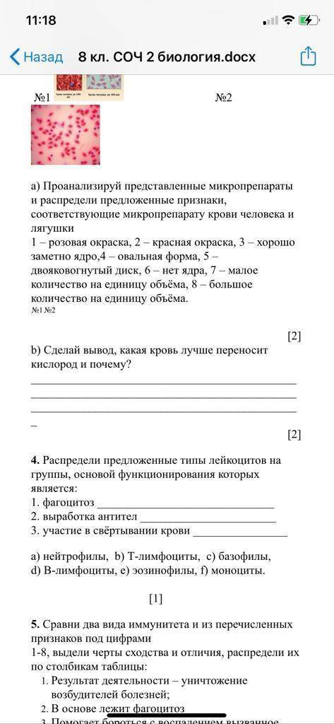 Соч по биологии 8 класс 2 четверть