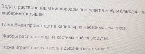 Выберите правильные утверждения, касающиеся дыхательной системы костных рыб :