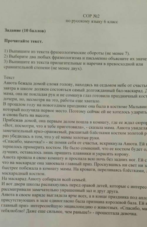 Сор по русскому языку 6 класс за 2 четветь 