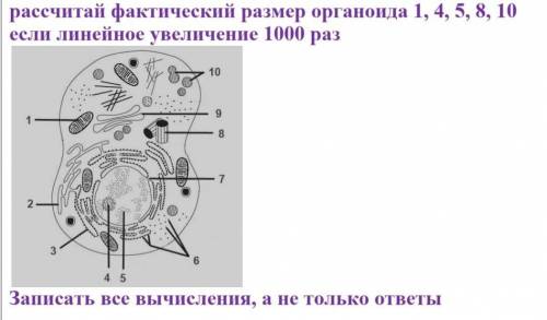 с биолгией за спам или ответы не по теме ,ПОДАМ ЖАЛОБУ!