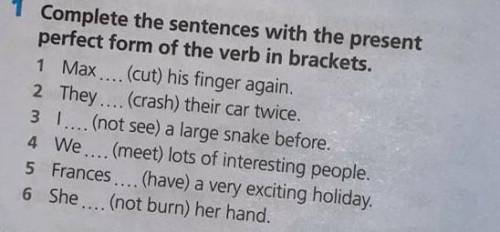 Complete the sentences with the present perfect from of the verb in brackets 