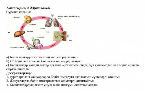 Помагите Мне надо Правильный ответ если не правиль ной тогда не отвечайт