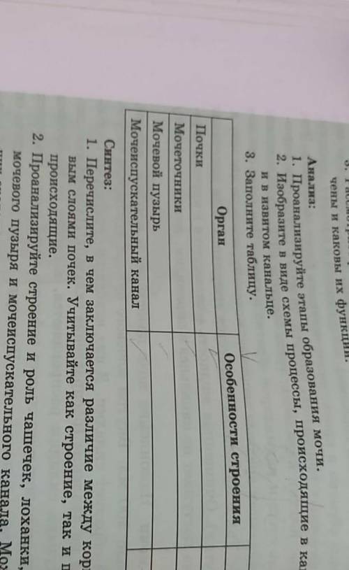 Заполните таблицу орган особенности строение функций