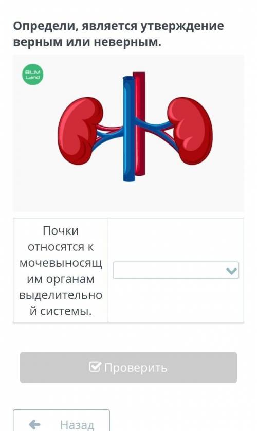 Определи является ли утверждение верным или неверным