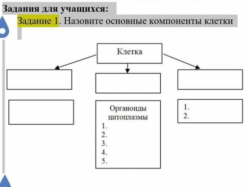 Задания для учащихся: Задание 1. Назовите основные компоненты клетки 
