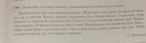 тема :имя прилагательное в языке и речи упражнение 210