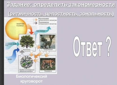 Задание: определить закономерности (ритмичность, целостность, зональность) 