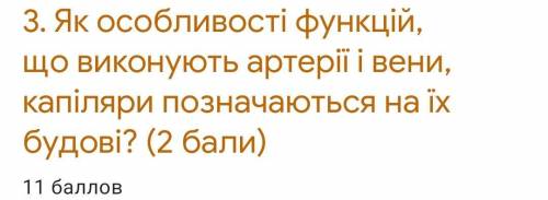 Які особливості функцій що виконують артерії вени капіляри