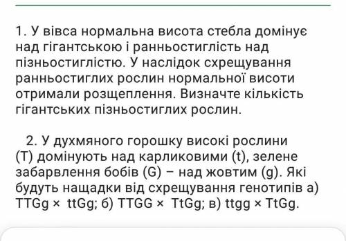 До ть будь ласка дуже потрібно здати 