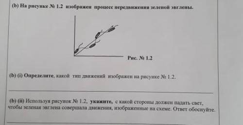 Определите какой тип движения изображён на рисунке 1.2(следующее тоже если хотите) 