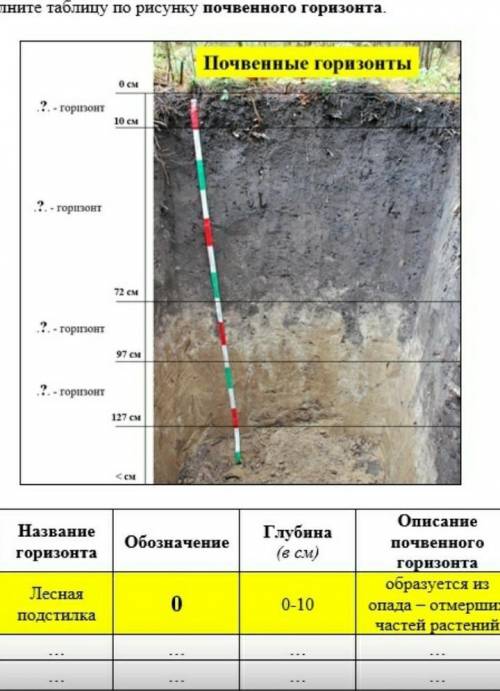 Заполните таблицупо рисунку почвеного горизонта.​