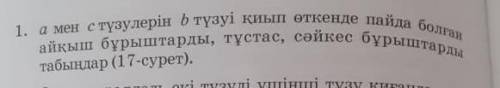Табыңдар (17-сурет).айқыш бұрыштарды, тұстас, сәйкес бұрыштарды