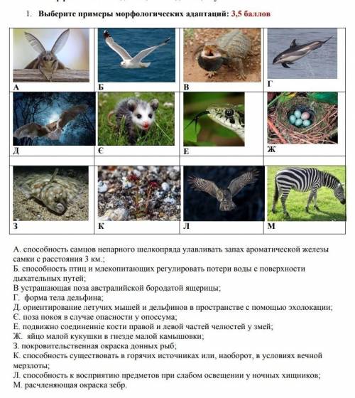 Морфологические адаптации 