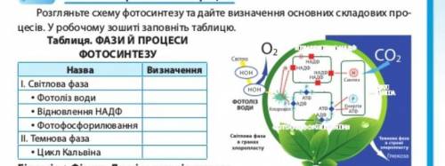 До ть будь-ласка виконати ось це: