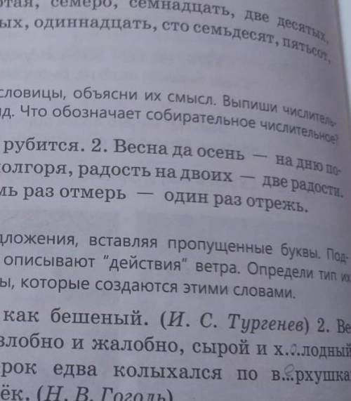 Прочитай пословицы объясни их смысл.Випиши числительные определи их разряд