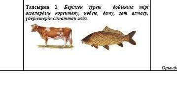 Тапсырма 1. Берілген сурет бойынша тірі ағзалардың қоректену, көбею, даму, зат алмасу, үдерістерін