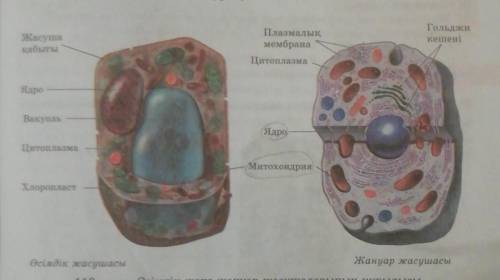Надо этот рисунок нарисовать на тетрадь!Я бы сам сделал, но я не умею рисовать!