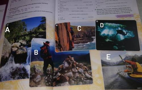 Look at the photos (A-E). Would you enjoy these activities? Why?/Why not?8 клас малюнки на фото❤️