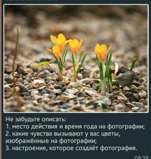 Сочинение картинке по плану,8 класс