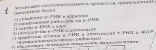  Установите последовательность процессов при биосинтезе белка