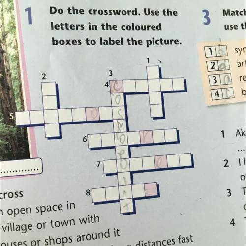8 6 Across 4 an open space in a village or town with houses or shops around it 5 a wide road for dri