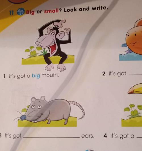 11 Big or small? Look and write. an1 It's got a big mouth.2 It's got3 It's gotears.4 It's got ano