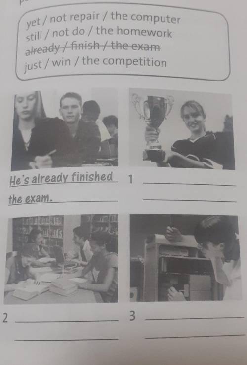Write sentences in the present perfect using the words in the box 