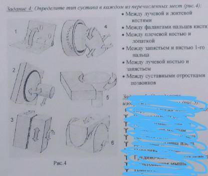 и не лижбы,я буду отправлять жалобы 