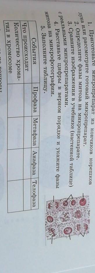 умаляю с лабораторной работай(4,5задние)