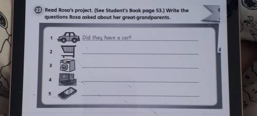 23 Read Rosa's project. (See Student's Book page 53.) Write the questions Rosa asked about her great