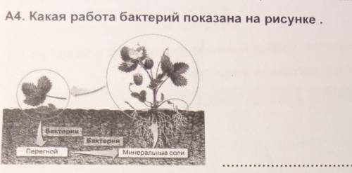 (чтобы увидеть сам вопрос нажмите на фото )