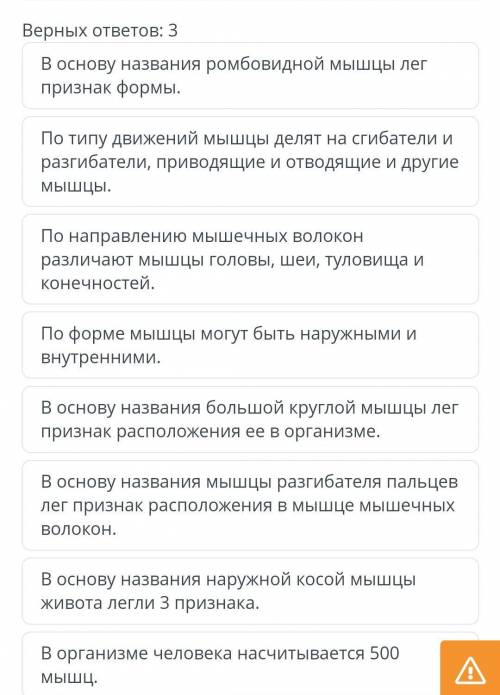 Выбери верные утверждения о разнообразии мышц тела человека.