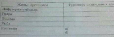 Заполните таблицу.транспорт питательных веществ.