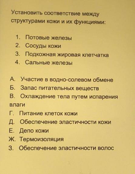 Установить соответствие между структурами кожи и их функциями: