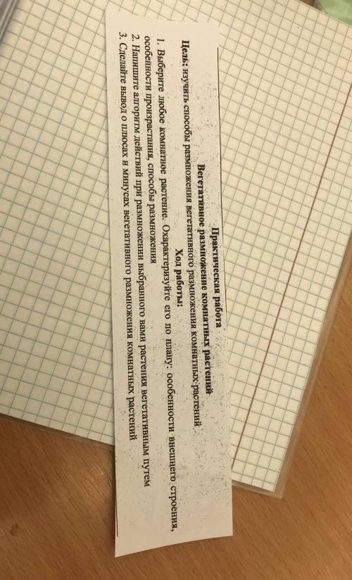 ЦВЕТКА АРХИДЕЯ очень нужно исправить оценку. (биология) случайно перепутал