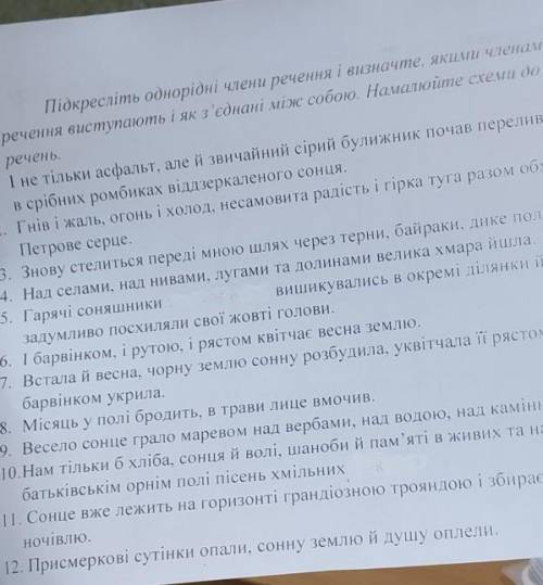 Підкреслити однорідні члени речення до ть будь ласка
