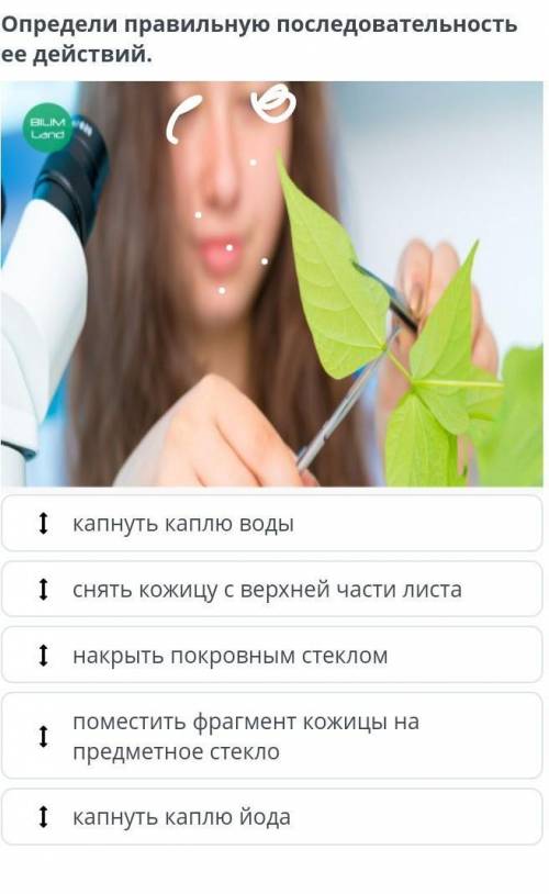 Определи правильную последовательность ее действии.
