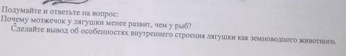 Сделайте вывод об особенностях внутреннего строения лягушки как земноводные животные